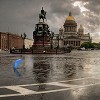 Стихия в Петербурге: ветер ломает деревья и светофоры