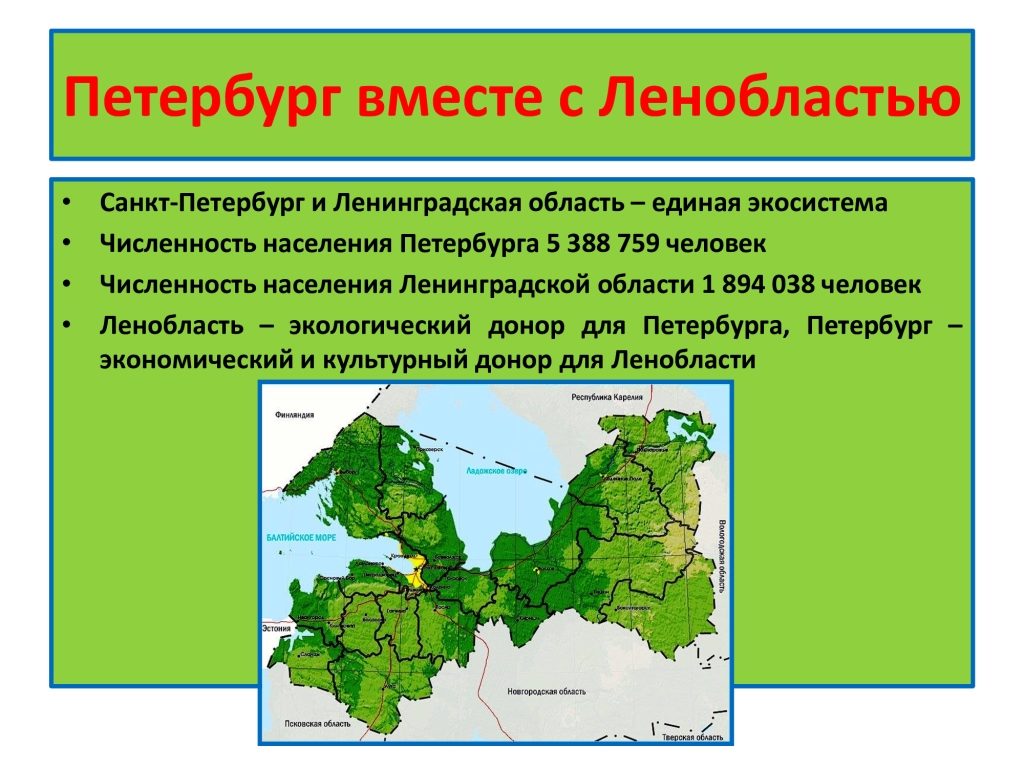 Prezentacia Eco SPb 2021 5